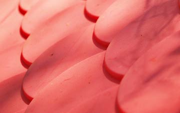 Portwrinkle plastic roof costs